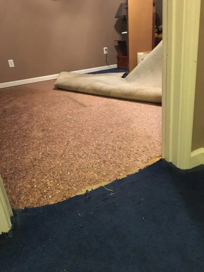 Carpet pad removal revealing water damage during Drying & Dehumidification in Malden