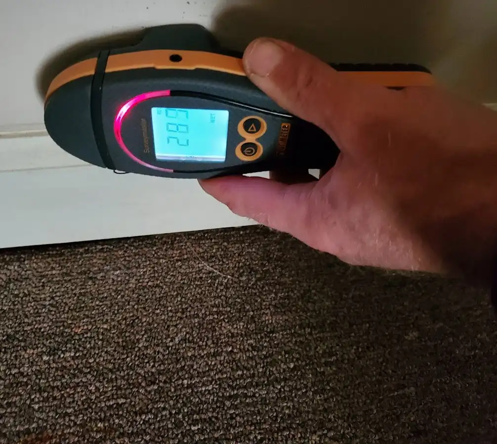Moisture detection at baseboard during Sewage Cleanup & Sanitation in Malden